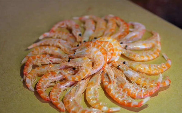 紅蝦、南極磷蝦蝦皮