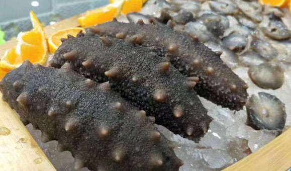 干海參禮盒多少錢？